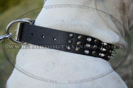 "Vivid Flash Of Lightning" High-Quality Leather Dog Collar For American Bully