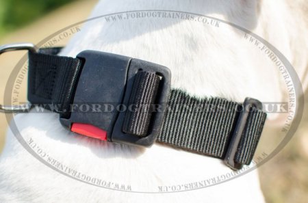 Extra Durable Nylon Dog Collar For American Bully "Usability"