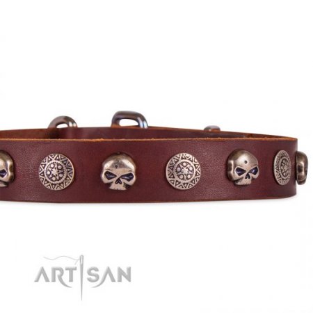 Adorned Brown Leather Dog Collar With ID Plate For Daily Walking