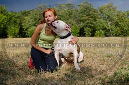 "Spiked Holiday Collar" Awesome Leather Dog Collar For American Bulldog