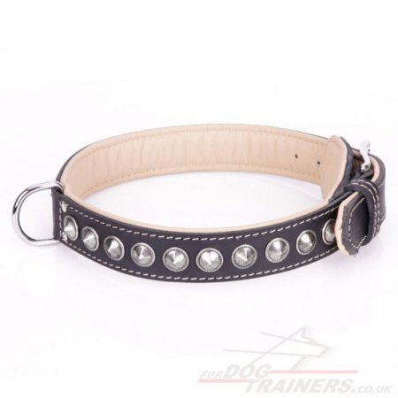 "Cone" Extravagant Black Leather Dog Collar With Studs