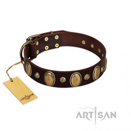 "Natural Grace" Nice Brown Leather Dog Collar With Brass Adornment FDT Artisan