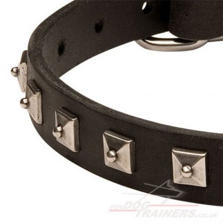 Best Husky Dog Collar Silver-Studded Design