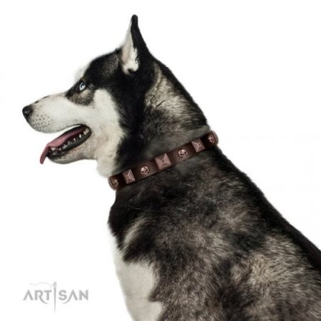 Brown Studded Dog Collar | Leather Dog Collar Metal Buckle FDT Artisan