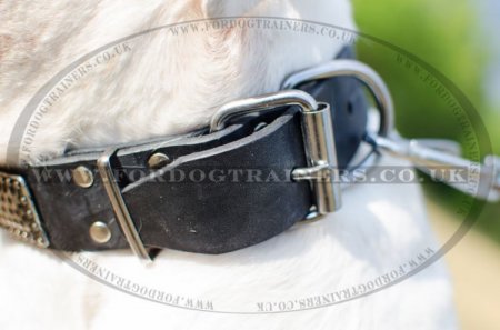 Studded Dog Collar For American Bulldog "Rococo Style"