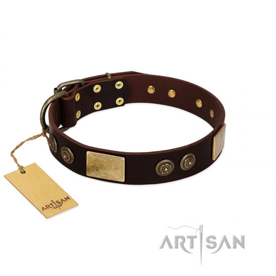 "Bow-Wow Effect" FDT Artisan Brown Leather Dog Collar With Old Bronze-Like Adornment