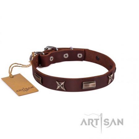 Advanced! Brown Leather Collar For Dog FDT Artisan Fashionable Design