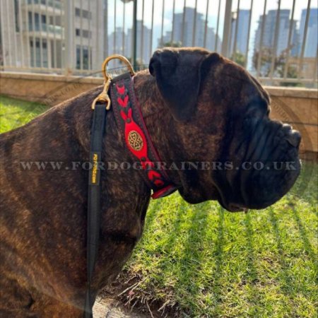 "Heavy Fire" Durable Black And Red Leather Dog Collar With Decorations