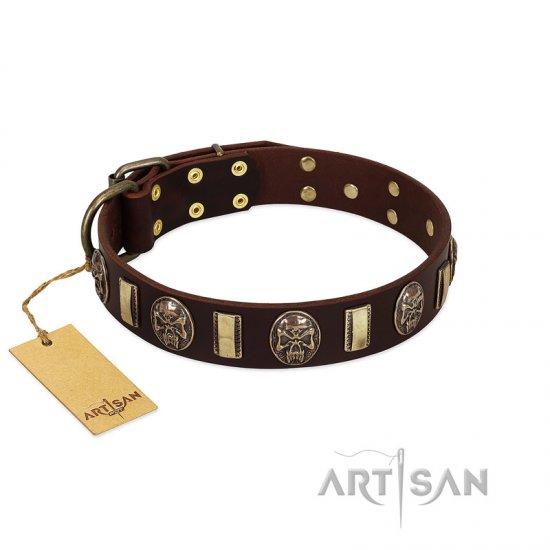 Chic Brown and Gold Dog Collar "Skull's Adventure" FDT Artisan