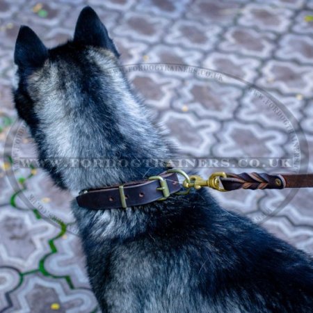 Siberian Husky Dog Collar with Brass Buckle and Studs