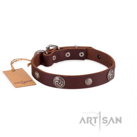 Exclusive Brown Studded Dog Collar FDT Artisan For Active Walking