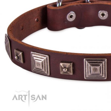 Brown Studded Buckle Dog Collar FDT Artisan For Reliable Control