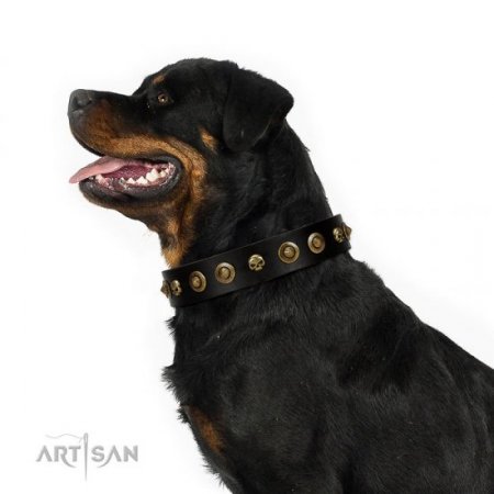 "Reckless Mutt" Strong Black Real Leather Dog Collar With Skulls FDT Artisan
