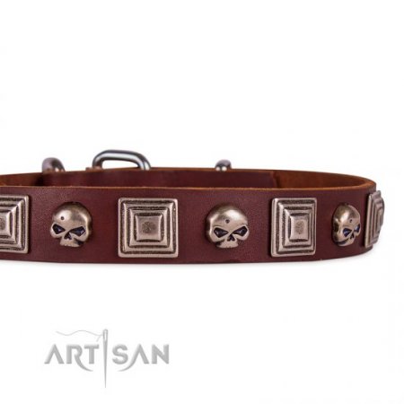 Brown Studded Dog Collar | Leather Dog Collar Metal Buckle FDT Artisan