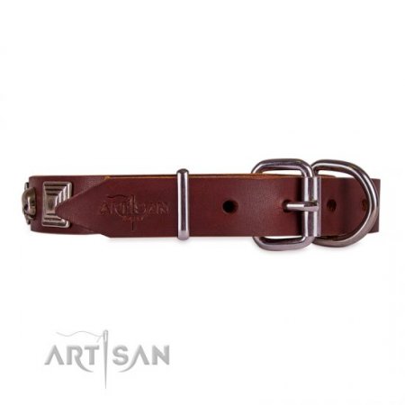 Brown Studded Dog Collar | Leather Dog Collar Metal Buckle FDT Artisan