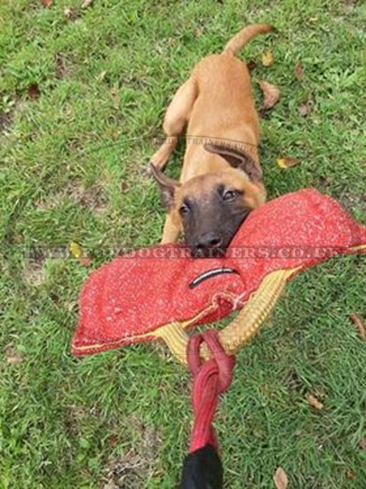French Linen Dog Training Bite Pad "Tear" For Puppies