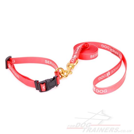 Red Dog Collar and Leash Set in Biothane