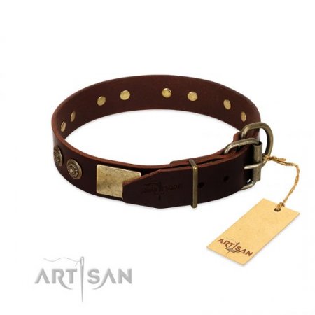 "Bow-Wow Effect" FDT Artisan Brown Leather Dog Collar With Old Bronze-Like Adornment