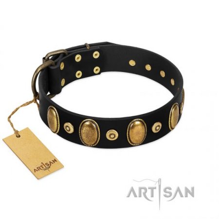 "Venerable Pawty" Black Real Leather Dog Collar With Brass Studs FDT Artisan