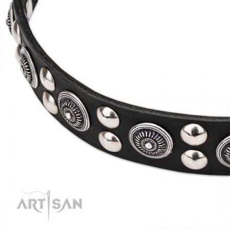 Best Quality Leather Dog Collar With Silver-Like Studs FDT Artisan