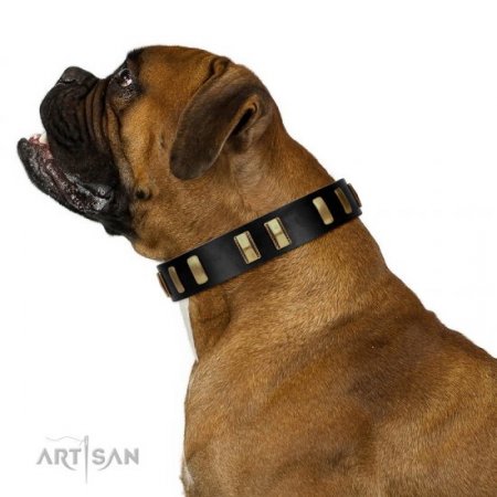 Gold & Black Leather Dog Collar 'Glorious Night' FDT Artisan