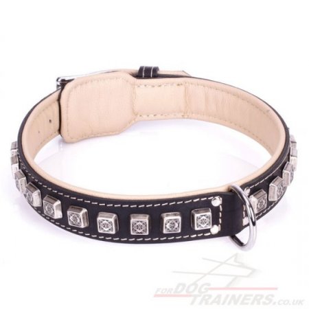 "Cube" Luxury Black Leather Dog Collar With Brass Studs