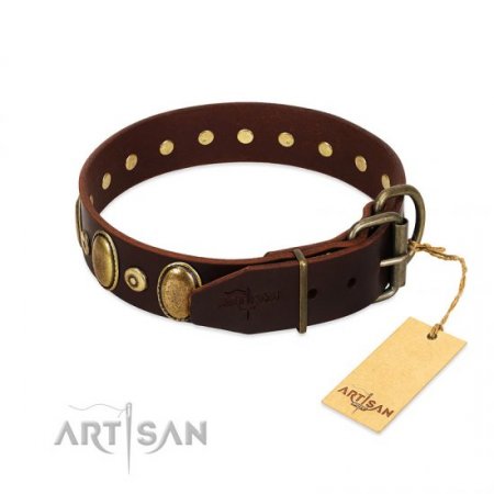 Awesome Chocolate Brown Leather Dog Collar FDT Artisan Luxurious Design