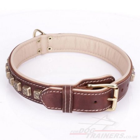 "Cube" Tough Brown Leather Dog Collars UK With Decorations