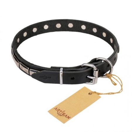 Luxury Black Leather Dog Collar With Silver-Like Plates For Safe Control FDT Artisan