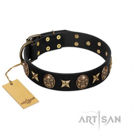 "Starry Saga" Beautiful Black Real Leather Dog Collar FDT Artisan