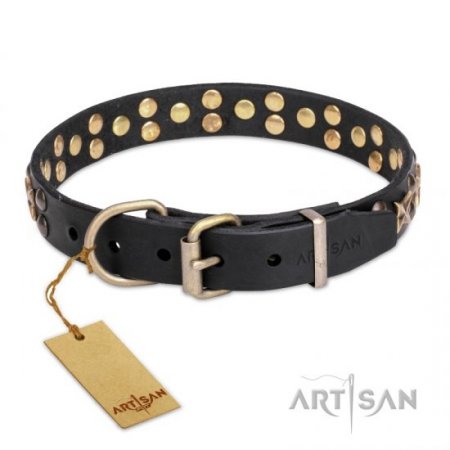 Excellent Black Leather Dog Collar With Studs FDT Artisan For Daily Walks