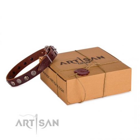 Adorned Brown Leather Dog Collar With ID Plate For Daily Walking