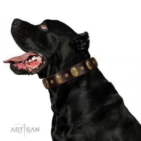 "Natural Grace" Nice Brown Leather Dog Collar With Brass Adornment FDT Artisan