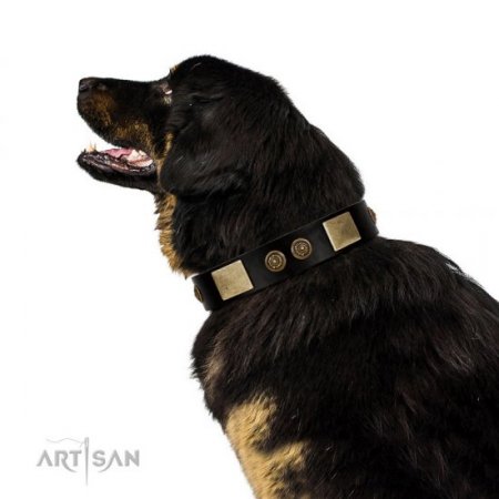 "Chicci-Glam" FDT Artisan Soft Black Leather Dog Collar With Studs