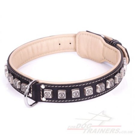 "Cube" Luxury Black Leather Dog Collar With Brass Studs