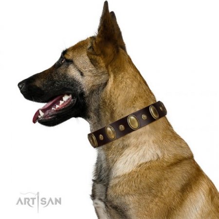 "Natural Grace" Nice Brown Leather Dog Collar With Brass Adornment FDT Artisan