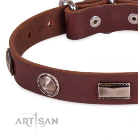 Pretty Brown Dog Collar For Dog’s Safe Walking FDT Artisan