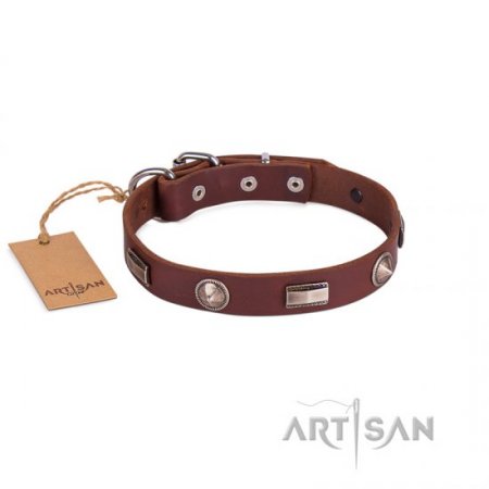 Pretty Brown Dog Collar For Dog’s Safe Walking FDT Artisan