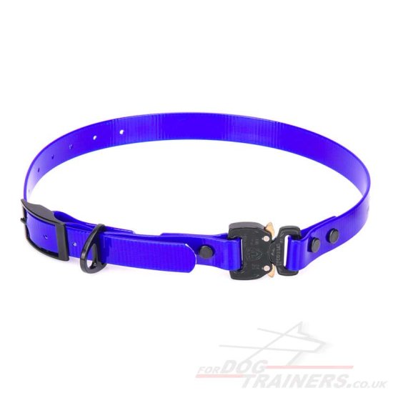 Biothane Dog Collar 0.8 inch Wide in Bright Blue or Orange - Click Image to Close