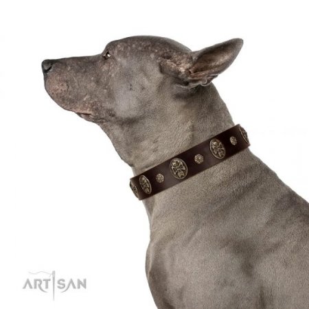 "Breaking the Horizon" Gorgeous Brown Leather Dog Collar FDT Artisan