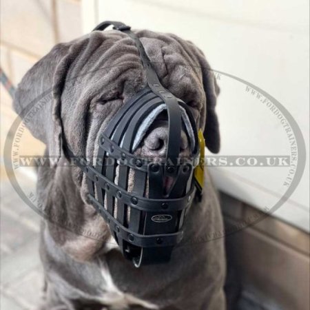 The Best Neapolitan Mastiff Muzzle Size UK XL Leather Basket