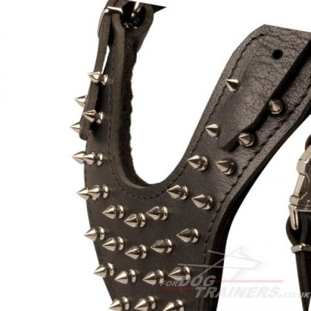 Designer Large Leather Dog Harness with Silver Spikes