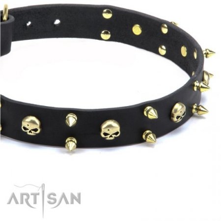 Stylish Brass Studded Black Leather Dog Collar FDT Artisan