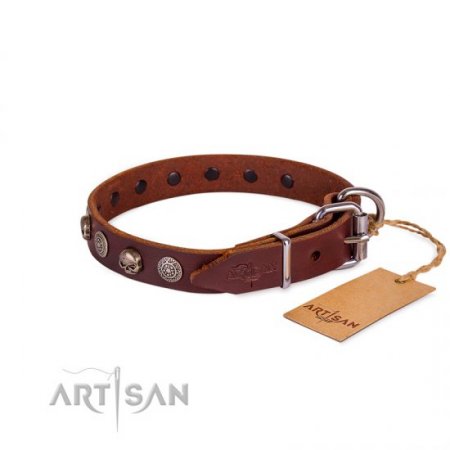 Adorned Brown Leather Dog Collar With ID Plate For Daily Walking