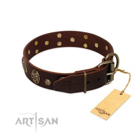 "Breaking the Horizon" Gorgeous Brown Leather Dog Collar FDT Artisan