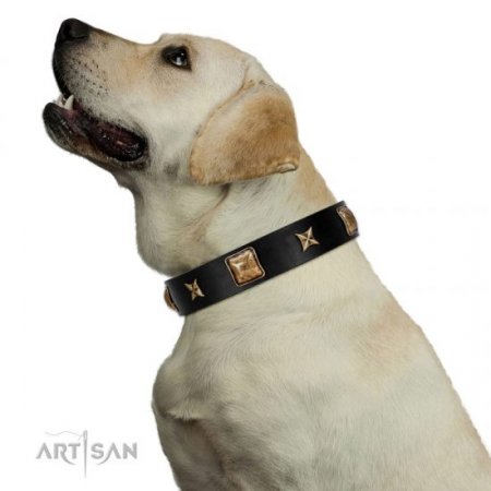 "Starry Harmony" Durable Black Leather Collar For Dog FDT Artisan