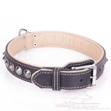 "Cone" Extravagant Black Leather Dog Collar With Studs