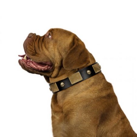 "Black Corsair" Stunning Black Leather Dog Collar With Studs FDT Artisan