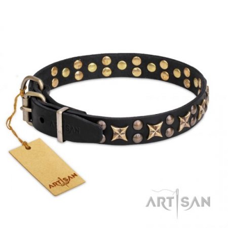 Excellent Black Leather Dog Collar With Studs FDT Artisan For Daily Walks