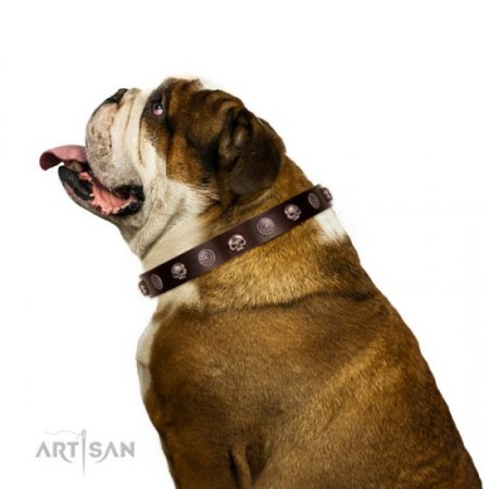 Adorned Brown Leather Dog Collar With ID Plate For Daily Walking